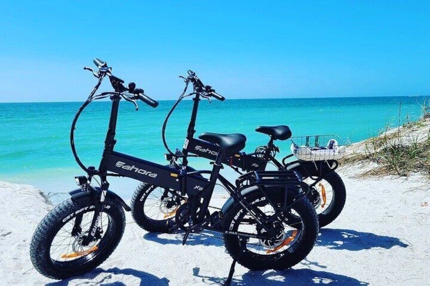 How to Rent Electric Bikes in Florida and What Are the Rental Rates?